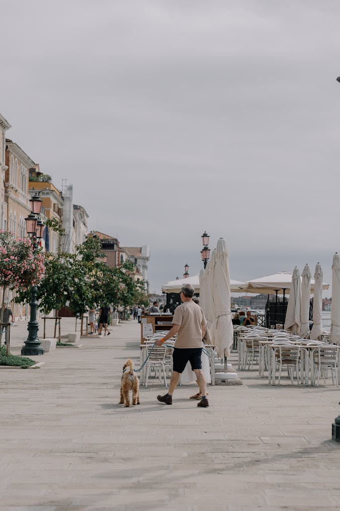 A man walks his dog along a charming seaside promenade beside cafes, creating a serene and picturesque scene.